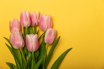 Pink tulips on a yellow background.Top view. Spring bouquet.Holiday concept.Women's day, Valentine's day,Easter, birthday.Copy space.