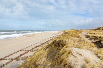 dune landscape at the west beach in List a t the island of Sylt in Germany with north sea view