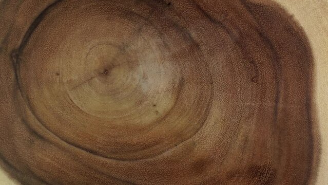 Rings and texture of the old cross cut tree trunk. Wooden tree section or tree stump for background and design. Kitchenware table or interior design surface. Forestry industry.