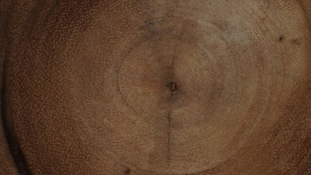 Wooden circle stump trunk background from top. Saw cross section cut tree wood rotation.