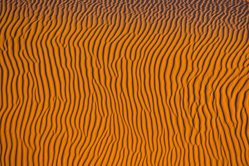 Sand waves background in Wadi Rum desert, Jordan