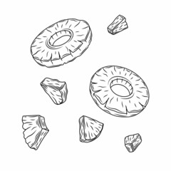 Natural tropical pineapple set. Hand drawn pineapple slices pieces. Design for shop, book, menu, banner. Outline ink style sketch. Vector coloring illustration.