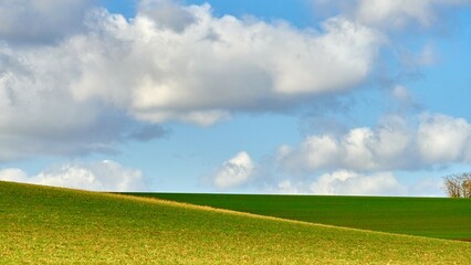 Green field to the horizon and blue sky with clouds