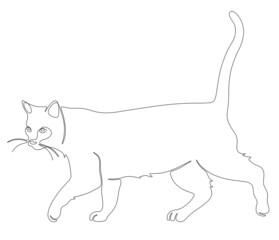One line drawing of walking cat. Pet vector illustration.
