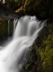 Mackenzie river in the cascades in Oregon