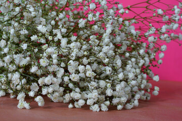 Bouquet of white Gypsophila flowers (babys breath)