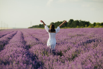Beautiful and happy young woman in a white dress enjoys a walk in the lavender field and raised her...