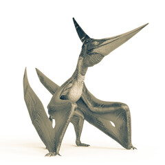 pteranodon is standing up in white background © DM7
