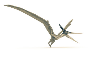 pteranodon is taking off in white background © DM7
