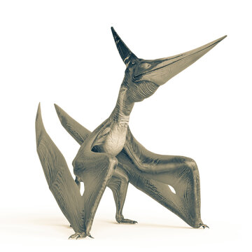 pteranodon is standing up in white background
