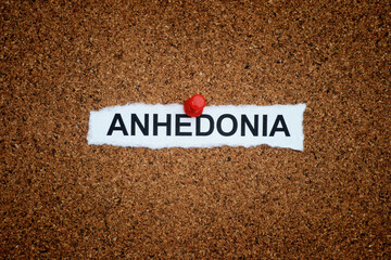 A crumpled piece of paper with the word Anhedonia on it pinned to a corkboard