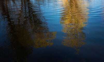 reflection of yellow fall trees in blue water
