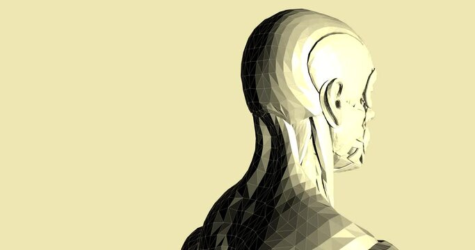 Human body 3D model in wireframe loop. Seamless anatomy of body with muscles, backdrop animation