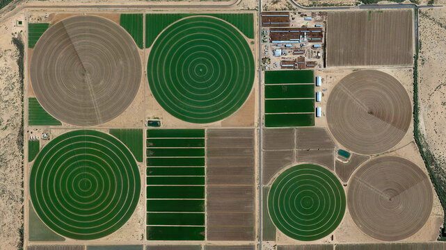 Center pivot irrigation system, circular fields and food safety, looking down aerial view from above, bird’s eye giant circular fields, Florence, Arizona