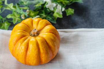 ミニかぼちゃ　プッチィ―二