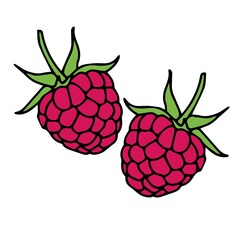 2 raspberries . Vector illustration