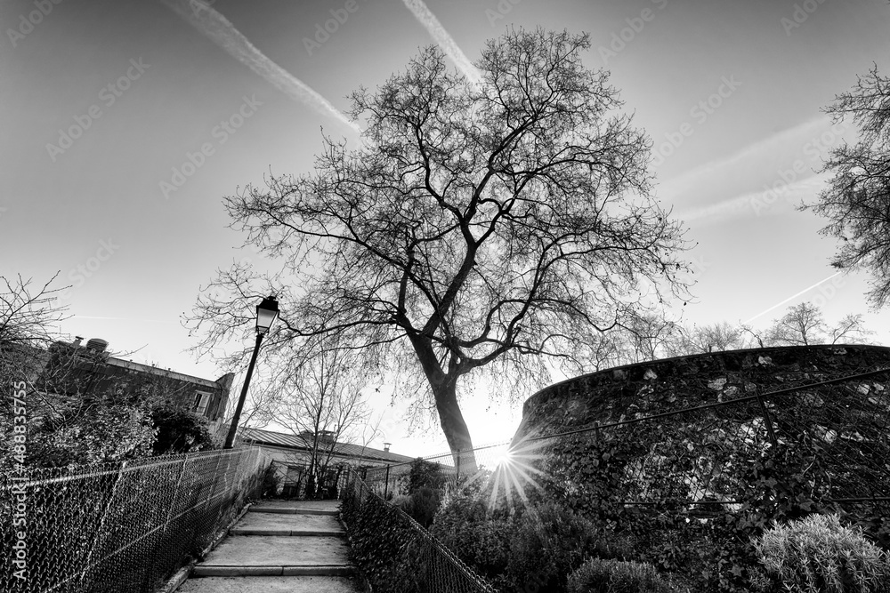 Canvas Prints marcel bleustein blanchet garden in the butte montmartre area