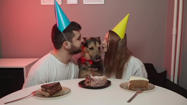 Dog in a red festive bow tie. Caucasian guy and European girl celebrating a dog's birthday. Dinner in festive caps. Metis with erect ears. Cute puppy sits at the table and eats a cake. Family with dog