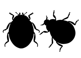 Large beetles in the set. Vector image.