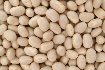 Navy beans, for backgrounds or textures
