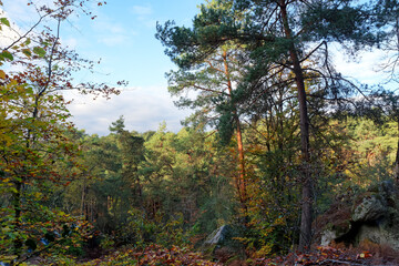 Cuvier-Chatillon rock, Denecourt hiking path 5 in  Fontainebleau forest
