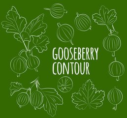 Set of goosberry with leaves, linear, outline only, no fill. Vector graphics