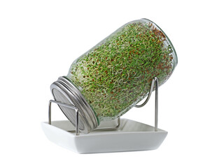 Alfalfa sprouts in a glass jar with stand and ceramic bowl isolated on white background, home...