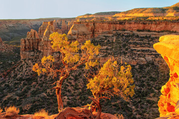 Colorado National Monument, Grand Junction, USA