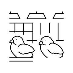 chick in poultry farm line icon vector illustration