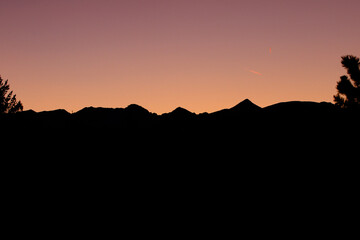 silhouette of a person