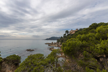 Mediterranean Sea, Spain, Costa Brava. Picturesque landscape with azure sea. Pine trees on the shores of the azure coast. A beautiful beach with lush greenery.