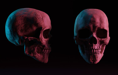 A skull of a woman on a dark side and front view. 3d render, 3d illustration. Medical and anthropological concept. Human skull, medical research, human study.