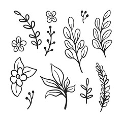 Obraz premium Vector branches and leaves. Hand drawn floral elements. Vintage botanical illustrations. Doodle nature ornaments.