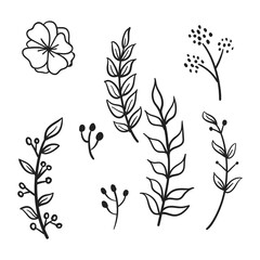 Vector branches and leaves. Hand drawn floral elements. Vintage botanical illustrations. Doodle nature ornaments.