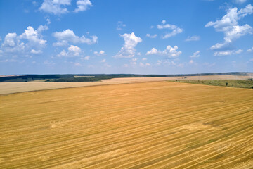Fototapeta na wymiar Aerial landscape view of yellow cultivated agricultural field with dry straw of cut down wheat after harvesting