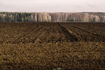frozen plowed field in autumn