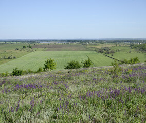 Landscape of rural plain in spring sunlight in Ukraine.