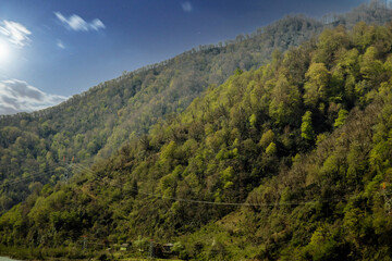 Fototapeta na wymiar spring mountains overgrown with trees in Georgia