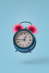 Retro Vintage alarm Clock with fresh, beautiful gerbera flowers flying in the air isolated on pastel blue background.