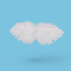 White wings isolated on a bright blue background.