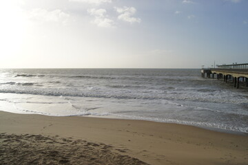SONY DSC