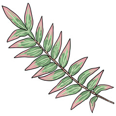 Eucalyptus branches isolated on white background. Hand drawing art watercolor imitation.  Twig and foliage made of real plant leaves. Decorative greenery flora plants. Vector.