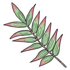 Eucalyptus branches isolated on white background. Hand drawing art watercolor imitation.  Twig and foliage made of real plant leaves. Decorative greenery flora plants. Vector.