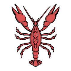 Crayfish pink, snack for beer   illustration