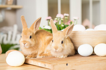 Two little Easter red rabbits are sitting cheerfully on the kitchen table near a basket with daisy...