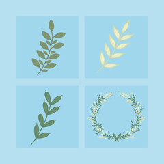 laurel wreath and branches