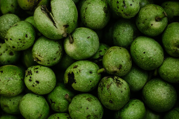 fresh green nuts