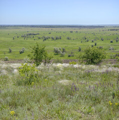 Landscape of rural plain in spring sunlight in Ukraine.