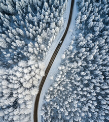 Beautiful winter forest and road. Aerial view - 488853190