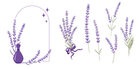 Vector illustration set of lavender flowers, bouquet, wreath and elements of design for greeting card on white background in retro flat style, provence concept.